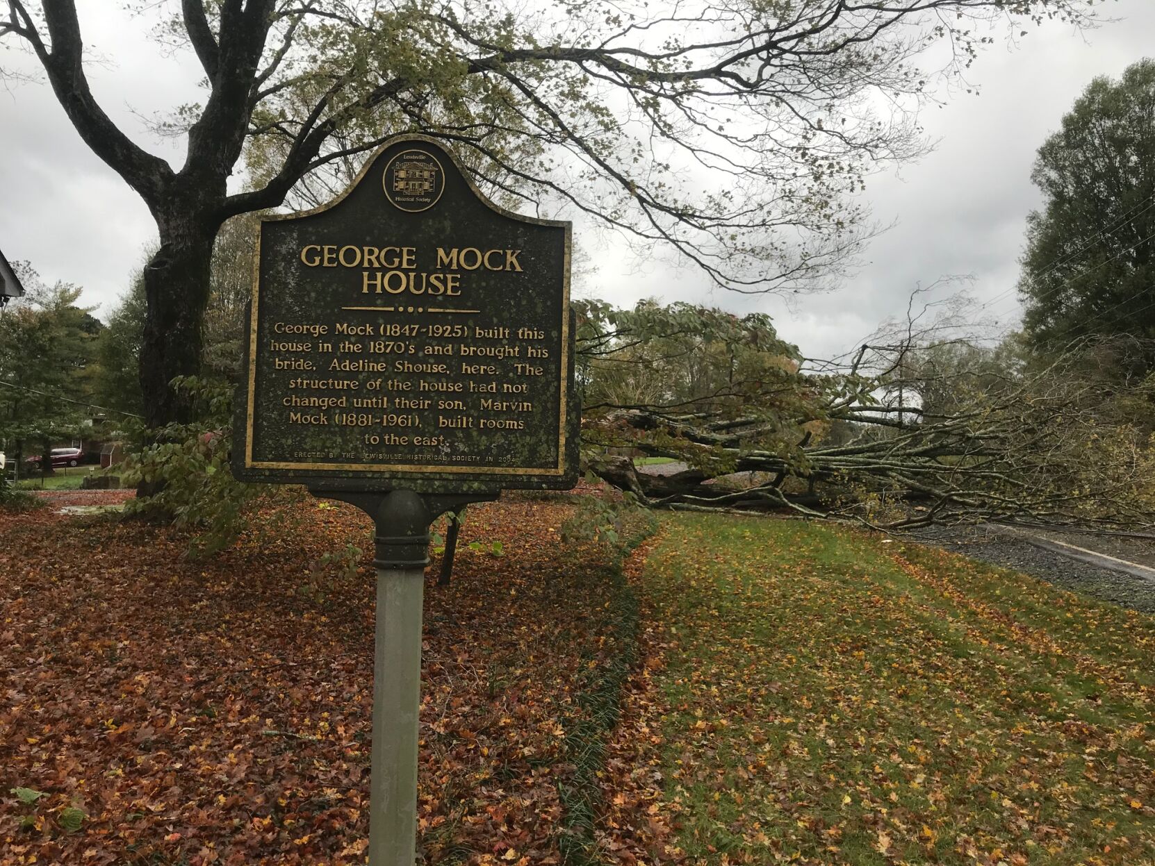 Downed tree, 5700 block of Shallowford Road